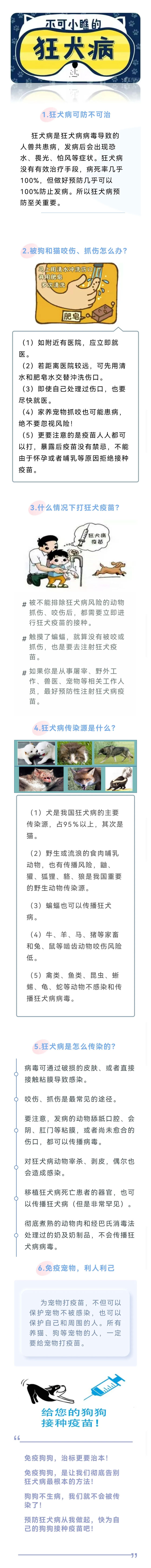 不可小瞧的&ldquo;狂犬病&rdquo;.jpg
